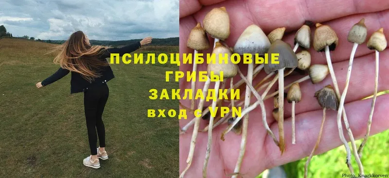 Галлюциногенные грибы GOLDEN TEACHER  Бабушкин 